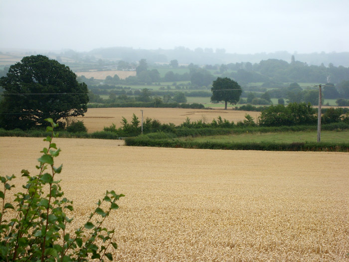 Mudford, Somerset crop circle, aerial photo 9