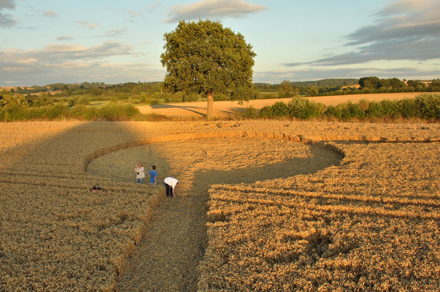 Mudford, Somerset crop circle, aerial photo 3
