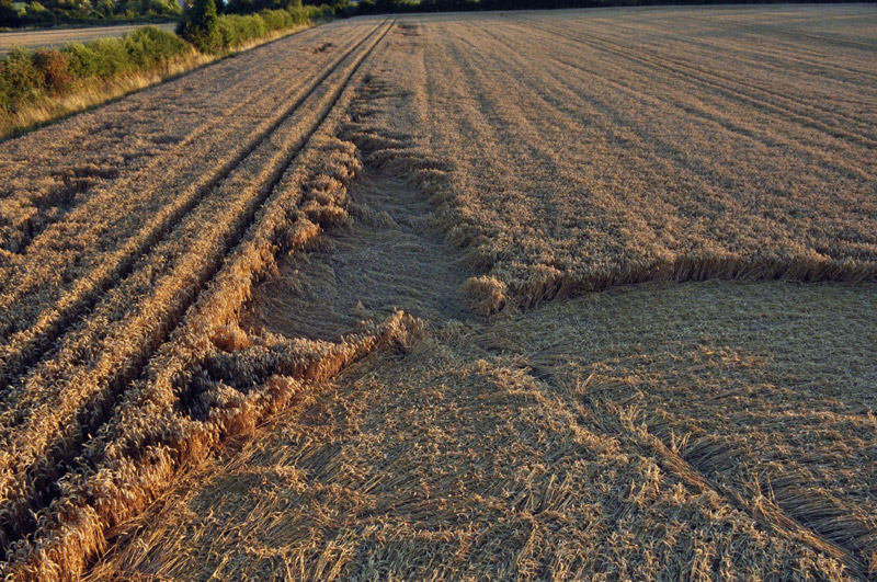 Mudford, Somerset crop circle, aerial photo 6