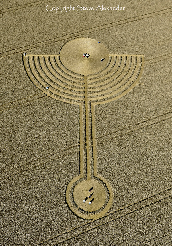Northdowns, Wiltshire crop circle, aerial photo 7