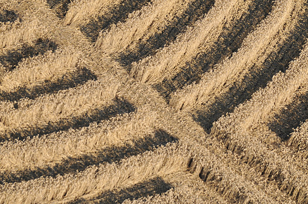 Northdowns, Wiltshire crop circle, aerial photo 11