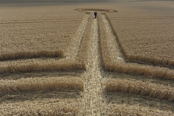 Northdowns, Wiltshire crop circle, aerial photo 46