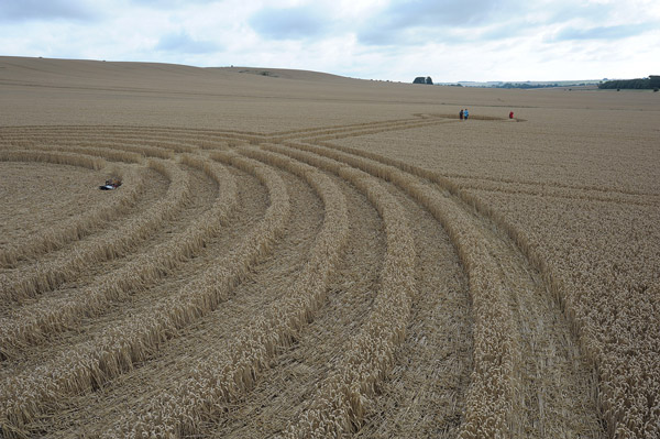 Northdowns, Wiltshire crop circle, aerial photo 43