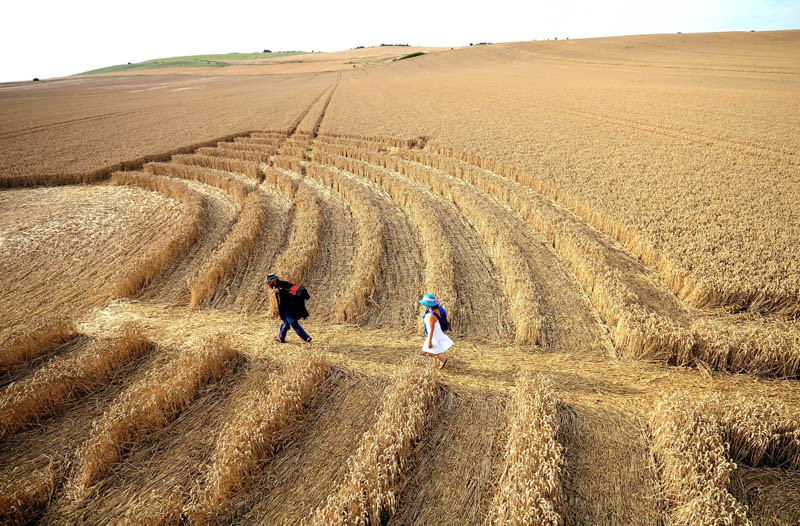 Northdowns, Wiltshire crop circle, aerial photo 52