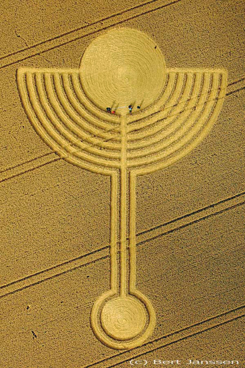 Northdowns, Wiltshire crop circle, aerial photo 6