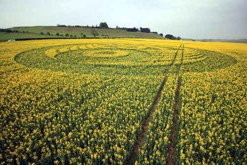 Old Sarum, Wiltshire crop circle, aerial photo 59