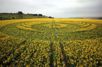 Old Sarum, Wiltshire crop circle, aerial photo 62