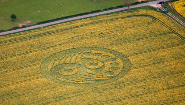 Old Sarum, Wiltshire crop circle, aerial photo 9