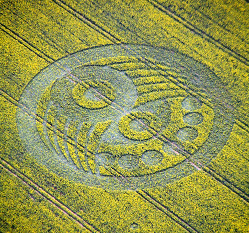 Old Sarum, Wiltshire crop circle, aerial photo 6