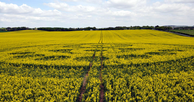 Old Sarum, Wiltshire crop circle, aerial photo 55