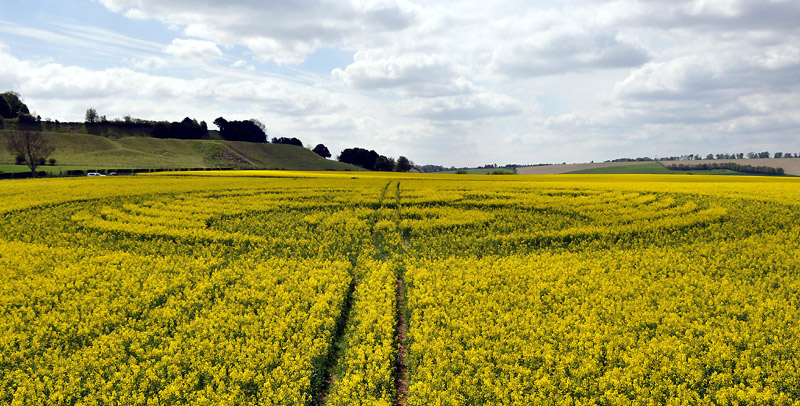 Old Sarum, Wiltshire crop circle, aerial photo 54
