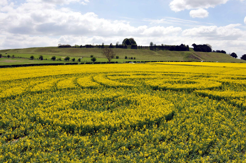 Old Sarum, Wiltshire crop circle, aerial photo 56