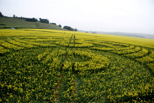 Old Sarum, Wiltshire crop circle, aerial photo 66