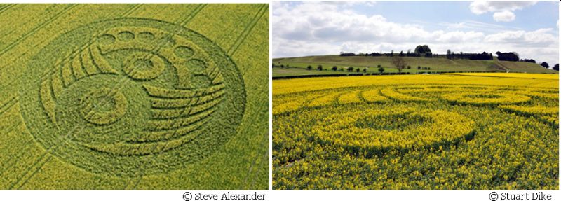 Old Sarum, Wiltshire crop circle, aerial photo 10