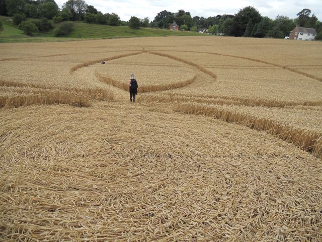 Pewsey Wharf, Wiltshire crop circle, aerial photo 5