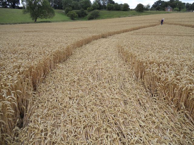 Pewsey Wharf, Wiltshire crop circle, aerial photo 7