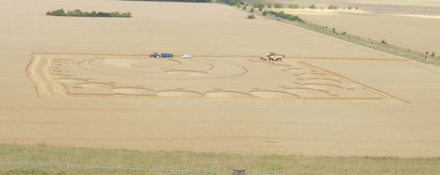 Pewsey White Horse, Wiltshire crop circle, aerial photo 16