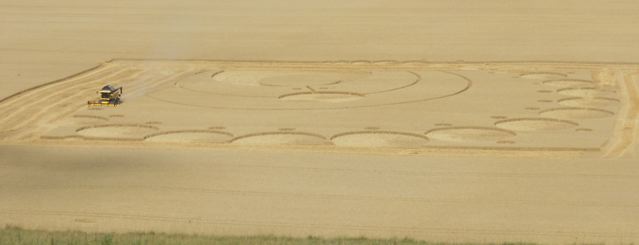 Pewsey White Horse, Wiltshire crop circle, aerial photo 17