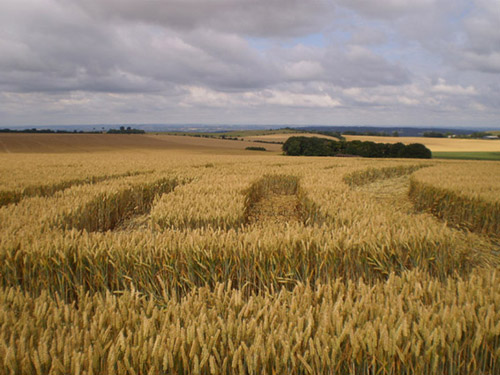 Roundway Hill, Wiltshire crop circle, aerial photo 57