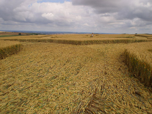 Roundway Hill, Wiltshire crop circle, aerial photo 58