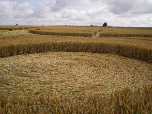 Roundway Hill, Wiltshire crop circle, aerial photo 59