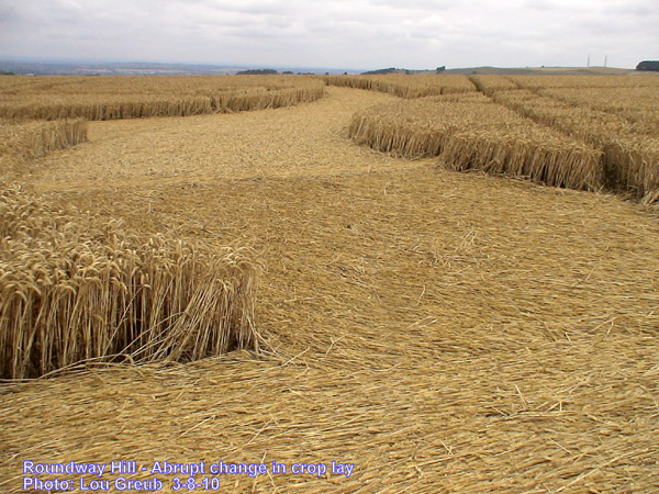 Roundway Hill, Wiltshire crop circle, aerial photo 62