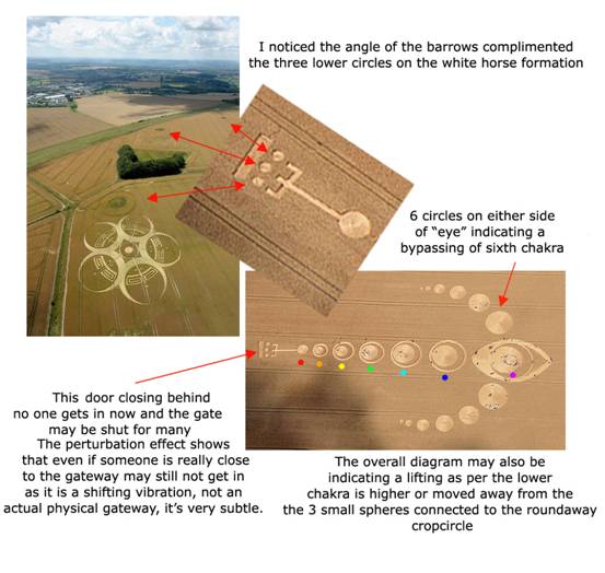 Roundway Hill, Wiltshire crop circle, aerial photo 19