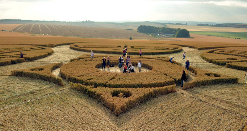 Roundway Hill, Wiltshire crop circle, aerial photo 36