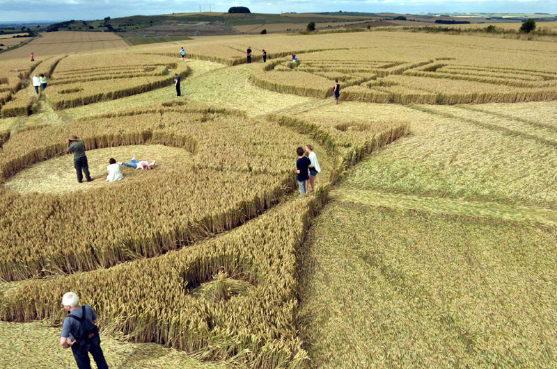 Roundway Hill, Wiltshire crop circle, aerial photo 40
