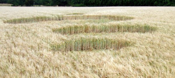 Sandy Lane, Hampshire crop circle, aerial photo 7