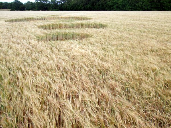 Sandy Lane, Hampshire crop circle, aerial photo 8