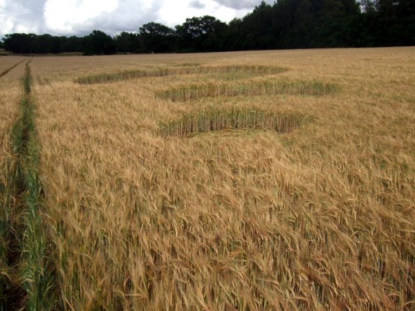 Sandy Lane, Hampshire crop circle, aerial photo 10