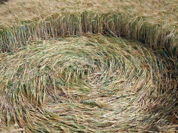 Sandy Lane, Hampshire crop circle, aerial photo 12