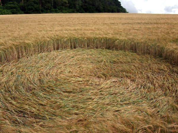 Sandy Lane, Hampshire crop circle, aerial photo 14