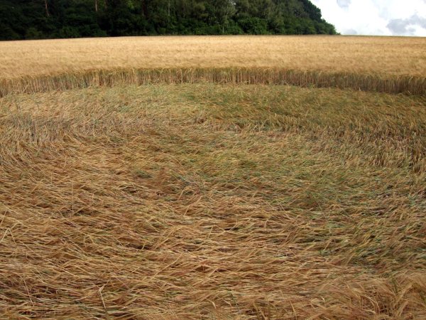 Sandy Lane, Hampshire crop circle, aerial photo 15