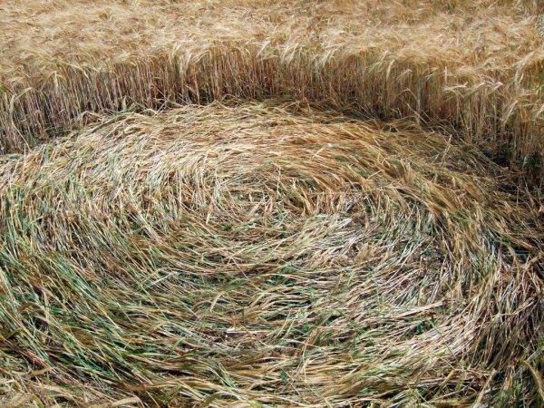 Sandy Lane, Hampshire crop circle, aerial photo 13