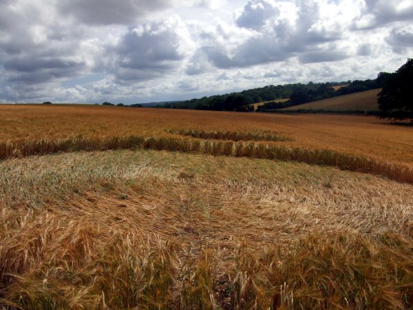 Sandy Lane, Hampshire crop circle, aerial photo 16
