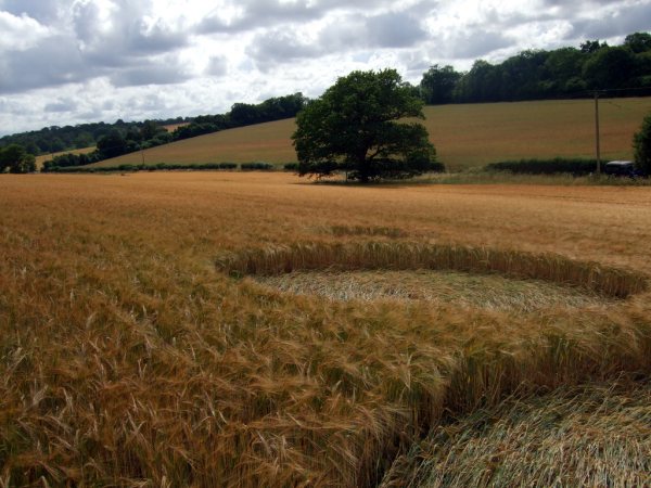 Sandy Lane, Hampshire crop circle, aerial photo 17