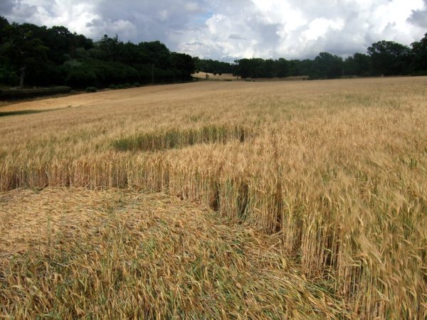 Sandy Lane, Hampshire crop circle, aerial photo 18