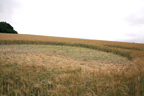 Sandy Lane, Hampshire crop circle, aerial photo 3