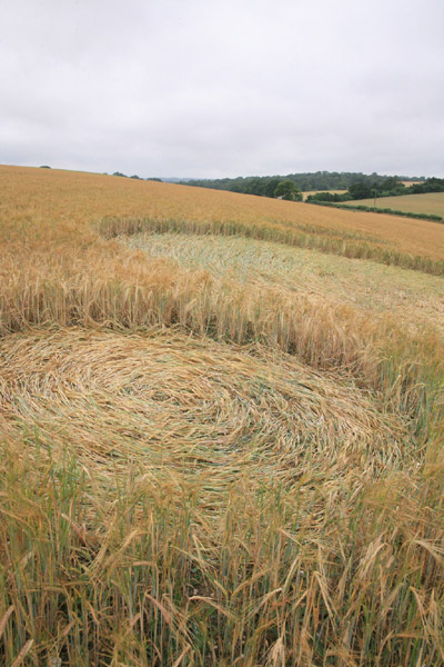 Sandy Lane, Hampshire crop circle, aerial photo 2
