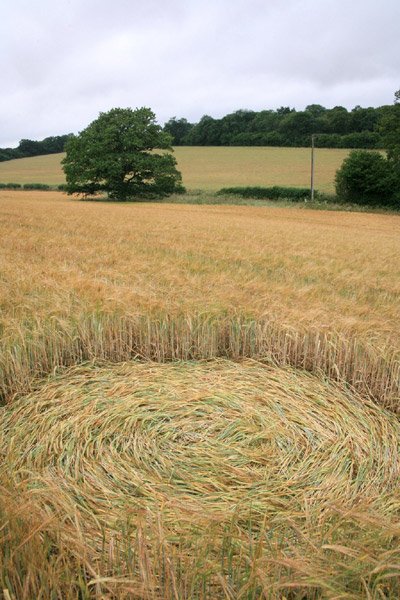 Sandy Lane, Hampshire crop circle, aerial photo 5