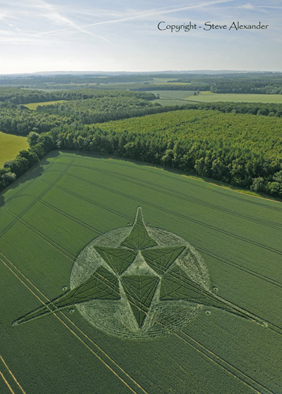 Savernake Forest, Wiltshire crop circle, aerial photo 5