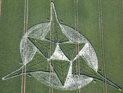 Savernake Forest, Wiltshire crop circle, aerial photo 26