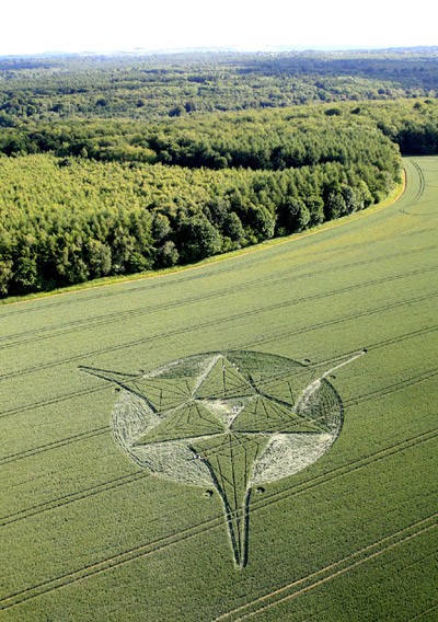Savernake Forest, Wiltshire crop circle, aerial photo 9