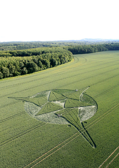 Savernake Forest, Wiltshire crop circle, aerial photo 8
