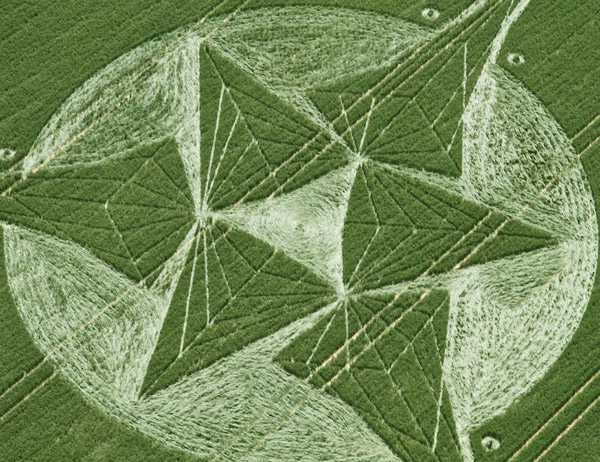 Savernake Forest, Wiltshire crop circle, aerial photo 2