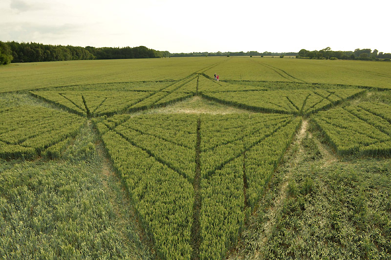Savernake Forest, Wiltshire crop circle, aerial photo 44