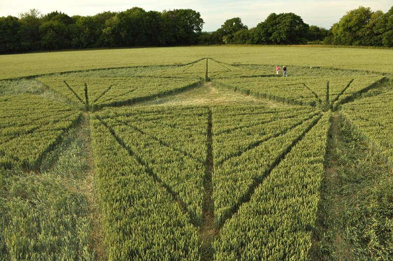 Savernake Forest, Wiltshire crop circle, aerial photo 46