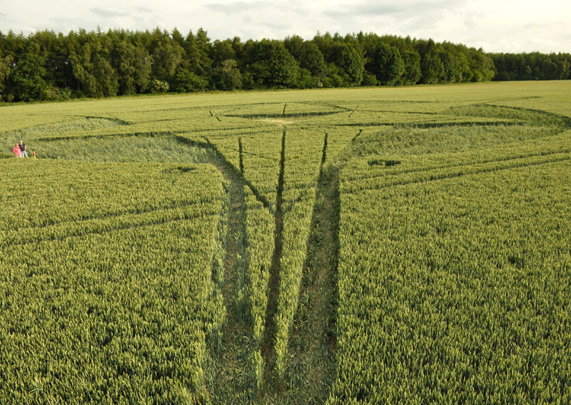 Savernake Forest, Wiltshire crop circle, aerial photo 45